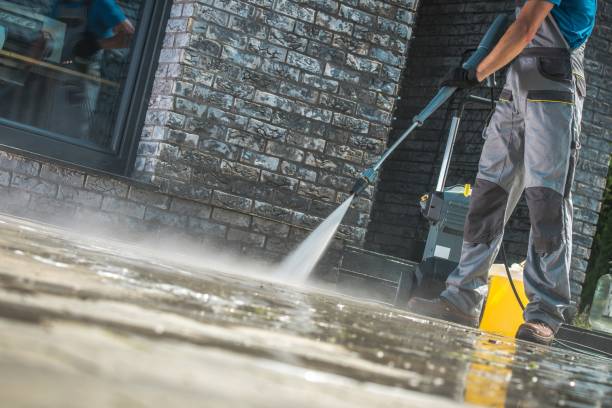 Best Roof Washing  in Waterville, NY