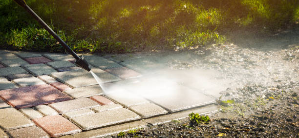 Best Animal Enclosure Cleaning  in Waterville, NY